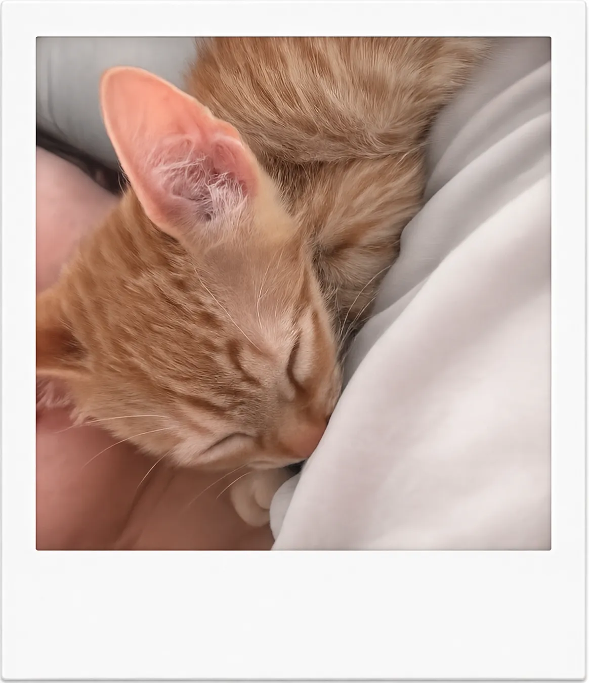 Román durmiendo
